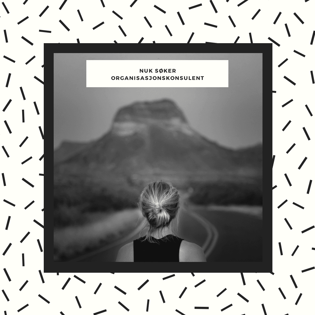 Norges Unge Katolikker søker organisasjonskonsulent med kommunikasjonsansvar: 12 måneders vikariat (heltid)