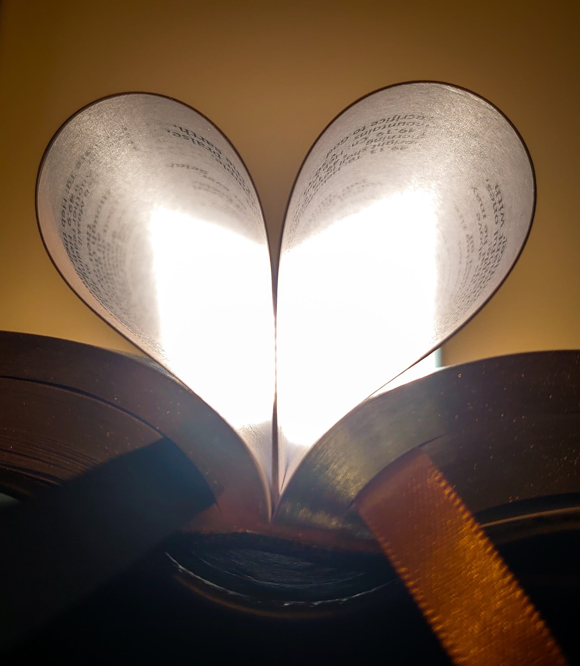 «Hensikten med Kirkens lære er ikke å vingeklippe kjærligheten, men å la den sveve.»