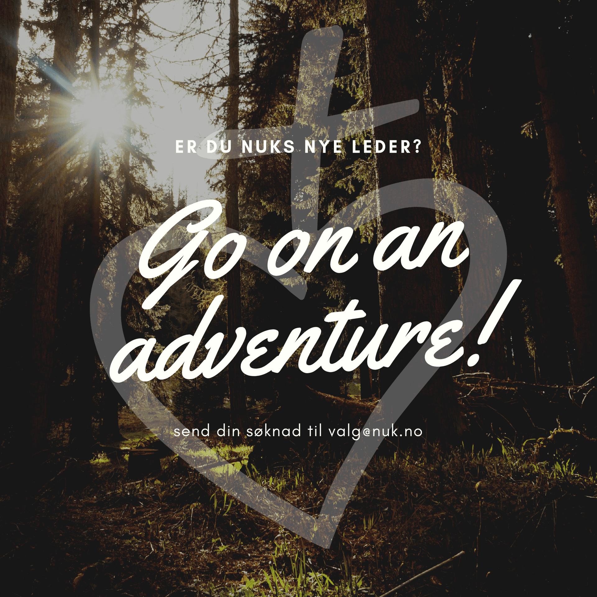 NUK er på jakt etter ny leder!